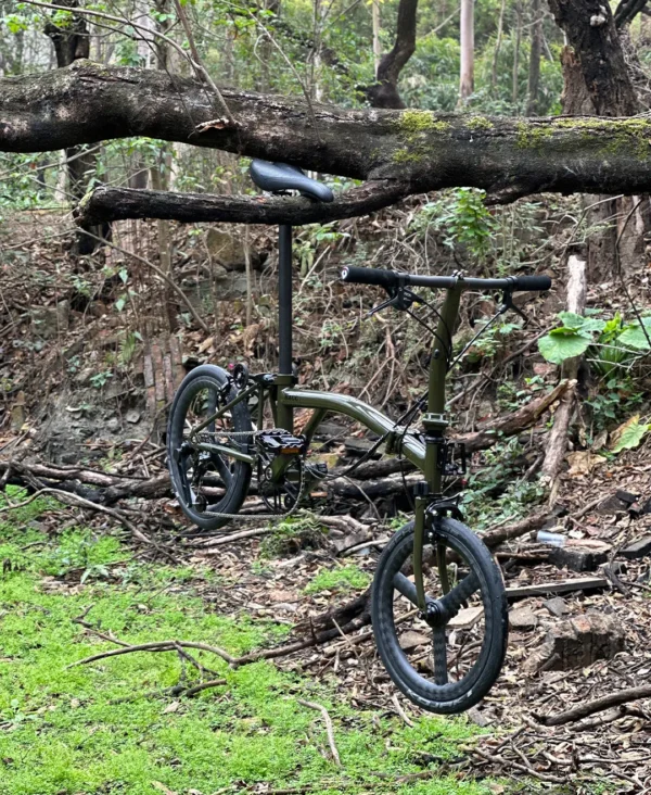 BXCC WROLDLESS CILNE 7 SPEED - Image 3